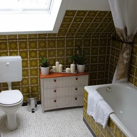 Apartment Ferienwohnung Zellerfelder Hohe